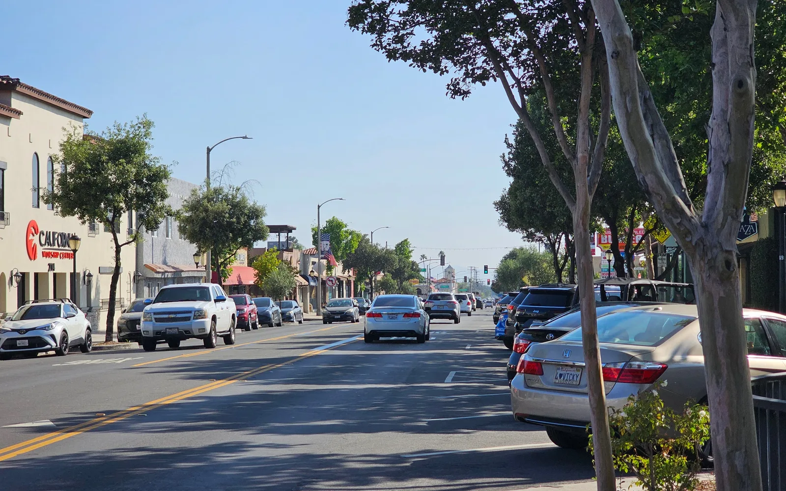 Street scene on Maclay Avenue in San Fernando, California with shops and flowering trees